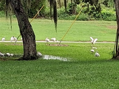 Located in beautiful Vista Gardens of Vero Beach next to Mckee on Vero Beach South Golf Course in Florida - for sale on GolfHomes.com, golf home, golf lot