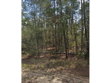 Build your dream home on this beautiful cul-de-sac lot located on Sugarmill Woods Golf and Country Club in Florida - for sale on GolfHomes.com, golf home, golf lot
