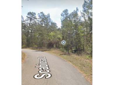 Build your dream home on this beautiful cul-de-sac lot located on Sugarmill Woods Golf and Country Club in Florida - for sale on GolfHomes.com, golf home, golf lot
