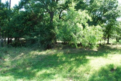 Come enjoy community living in 24-7 gated POA community with the on White Bluff Resort - Old Course in Texas - for sale on GolfHomes.com, golf home, golf lot