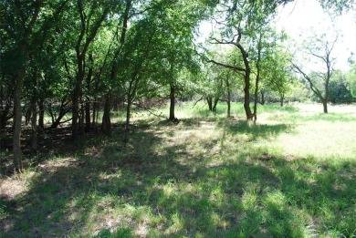 Come enjoy community living in 24-7 gated POA community with the on White Bluff Resort - Old Course in Texas - for sale on GolfHomes.com, golf home, golf lot