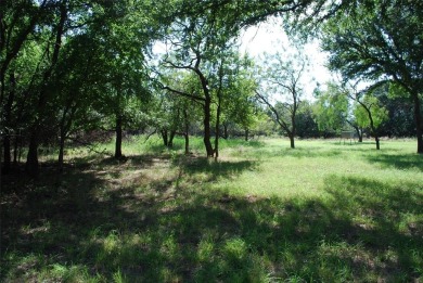 Come enjoy community living in 24-7 gated POA community with the on White Bluff Resort - Old Course in Texas - for sale on GolfHomes.com, golf home, golf lot
