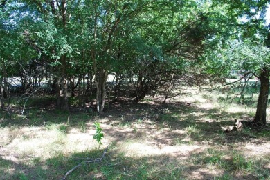Come enjoy community living in 24-7 gated POA community with the on White Bluff Resort - Old Course in Texas - for sale on GolfHomes.com, golf home, golf lot