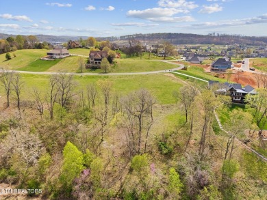 Don't miss out on this incredible opportunity to own a on Tennessee National Golf Club in Tennessee - for sale on GolfHomes.com, golf home, golf lot