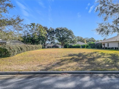 Build your dream home on this large residential lot in the on Harbor Hills Country Club in Florida - for sale on GolfHomes.com, golf home, golf lot