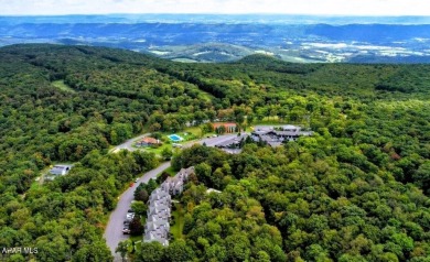 Nestled in the stunning beauty of Blue Knob Resort and its on Blue Knob Rec Area Golf Course in Pennsylvania - for sale on GolfHomes.com, golf home, golf lot