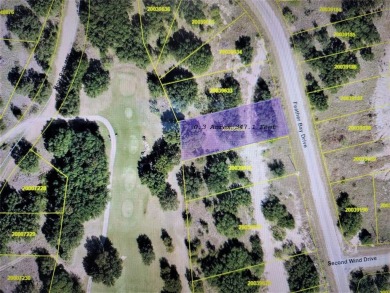 Build your dream home on this  beautiful lot with mature oak on Hideout Golf Club and Resort  in Texas - for sale on GolfHomes.com, golf home, golf lot