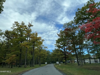 Perfect end unit and successful rental.  Turnkey 1st floor on Blue Knob Rec Area Golf Course in Pennsylvania - for sale on GolfHomes.com, golf home, golf lot