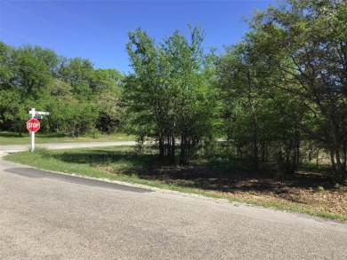 Great corner lot and level. Enjoy peace & tranquility of living on White Bluff Resort - Old Course in Texas - for sale on GolfHomes.com, golf home, golf lot