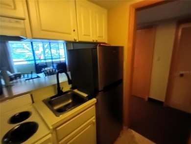 36750 US 19 , PALM HARBOR, FL 34684 Beautiful cute condo located on Innisbrook Resort and Golf Club in Florida - for sale on GolfHomes.com, golf home, golf lot