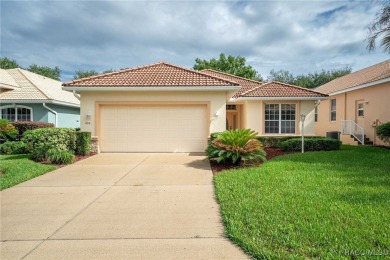 Welcome to Terra Vista, a premier gated resort-style community on Skyview At Terra Vista Golf and Country Club in Florida - for sale on GolfHomes.com, golf home, golf lot