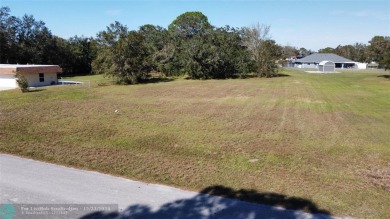 This spacious 0.71-acre lot in the serene Spring Lake Village on Spring Lake Golf Resort in Florida - for sale on GolfHomes.com, golf home, golf lot