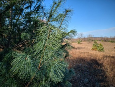 Prime 10 acres of vacant land with endless possibilities. Hunt on Chestnut Hills Golf Course in Michigan - for sale on GolfHomes.com, golf home, golf lot