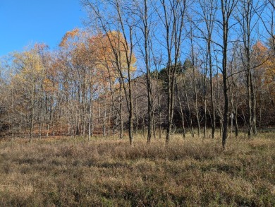 Prime 10 acres of vacant land with endless possibilities. Hunt on Chestnut Hills Golf Course in Michigan - for sale on GolfHomes.com, golf home, golf lot