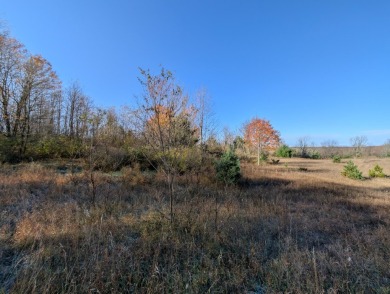 Prime 10 acres of vacant land with endless possibilities. Hunt on Chestnut Hills Golf Course in Michigan - for sale on GolfHomes.com, golf home, golf lot