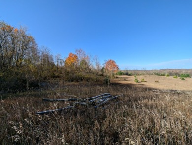 Prime 10 acres of vacant land with endless possibilities. Hunt on Chestnut Hills Golf Course in Michigan - for sale on GolfHomes.com, golf home, golf lot