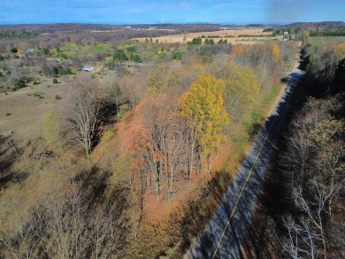 Prime 10 acres of vacant land with endless possibilities. Hunt on Chestnut Hills Golf Course in Michigan - for sale on GolfHomes.com, golf home, golf lot