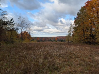 Prime 10 acres of vacant land with endless possibilities. Hunt on Chestnut Hills Golf Course in Michigan - for sale on GolfHomes.com, golf home, golf lot