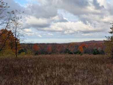 Prime 10 acres of vacant land with endless possibilities. Hunt on Chestnut Hills Golf Course in Michigan - for sale on GolfHomes.com, golf home, golf lot