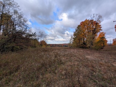 Prime 10 acres of vacant land with endless possibilities. Hunt on Chestnut Hills Golf Course in Michigan - for sale on GolfHomes.com, golf home, golf lot