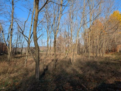 Prime 10 acres of vacant land with endless possibilities. Hunt on Chestnut Hills Golf Course in Michigan - for sale on GolfHomes.com, golf home, golf lot