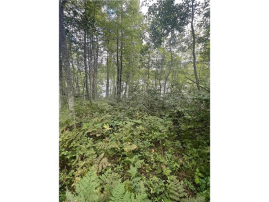 Enjoy views of Culbertson Lake on this lot ocated in the on Voyager Village Country Club - Voyager in Wisconsin - for sale on GolfHomes.com, golf home, golf lot