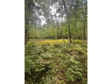 Enjoy views of Culbertson Lake on this lot ocated in the on Voyager Village Country Club - Voyager in Wisconsin - for sale on GolfHomes.com, golf home, golf lot