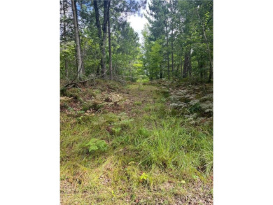 Enjoy views of Culbertson Lake on this lot ocated in the on Voyager Village Country Club - Voyager in Wisconsin - for sale on GolfHomes.com, golf home, golf lot