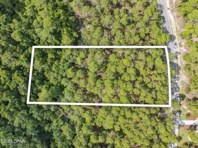 Gorgeous wooded lot located towards the end of a cul-de-sac in on Sharks Tooth Golf Club in Florida - for sale on GolfHomes.com, golf home, golf lot