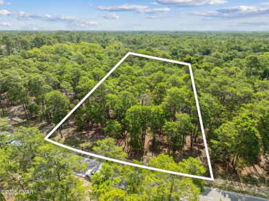 Gorgeous wooded lot located towards the end of a cul-de-sac in on Sharks Tooth Golf Club in Florida - for sale on GolfHomes.com, golf home, golf lot