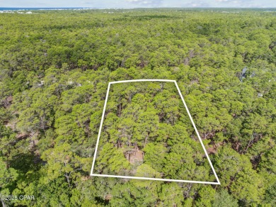Gorgeous wooded lot located towards the end of a cul-de-sac in on Sharks Tooth Golf Club in Florida - for sale on GolfHomes.com, golf home, golf lot