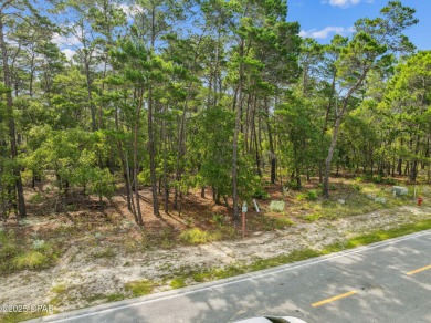 Gorgeous wooded lot located towards the end of a cul-de-sac in on Sharks Tooth Golf Club in Florida - for sale on GolfHomes.com, golf home, golf lot