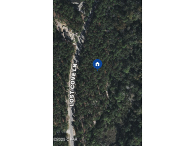 Gorgeous wooded lot located towards the end of a cul-de-sac in on Sharks Tooth Golf Club in Florida - for sale on GolfHomes.com, golf home, golf lot