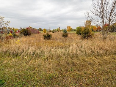 Development land with potential for up to 25 city lots. Some on The Greens At Howard Lake in Minnesota - for sale on GolfHomes.com, golf home, golf lot