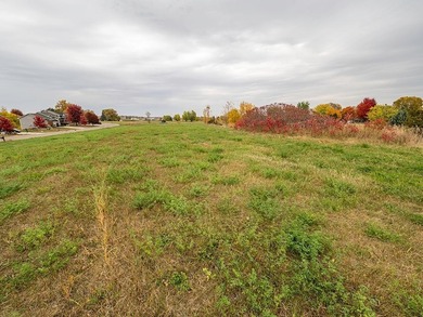 Development land with potential for up to 25 city lots. Some on The Greens At Howard Lake in Minnesota - for sale on GolfHomes.com, golf home, golf lot