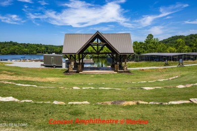 Gorgeous, practically brand new home in Tennessee National! Golf on Tennessee National Golf Club in Tennessee - for sale on GolfHomes.com, golf home, golf lot