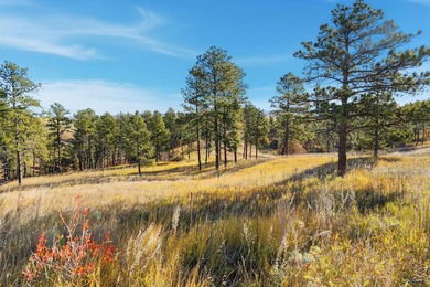 Listed by Lori Barnett & Michelle Carr, Engel & Volkers Black on Arrowhead Country Club in South Dakota - for sale on GolfHomes.com, golf home, golf lot