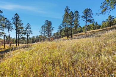 Listed by Lori Barnett & Michelle Carr, Engel & Volkers Black on Arrowhead Country Club in South Dakota - for sale on GolfHomes.com, golf home, golf lot