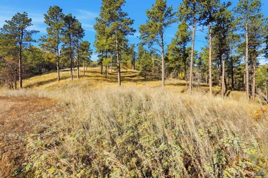 Listed by Lori Barnett & Michelle Carr, Engel & Volkers Black on Arrowhead Country Club in South Dakota - for sale on GolfHomes.com, golf home, golf lot