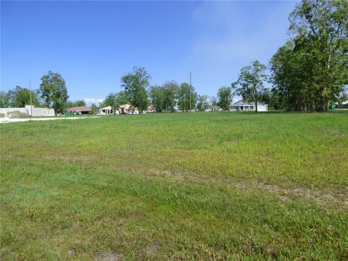 Great Building lot with NORTHERN rear exposure in Burnt Store on Burnt Store Golf Club in Florida - for sale on GolfHomes.com, golf home, golf lot