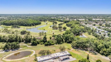Welcome to the vibrant community of Seven Springs, where this on Seven Springs Golf and Country Club in Florida - for sale on GolfHomes.com, golf home, golf lot