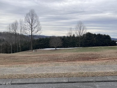 Have you ever wanted to live on a golf course. Here is your on  in Tennessee - for sale on GolfHomes.com, golf home, golf lot