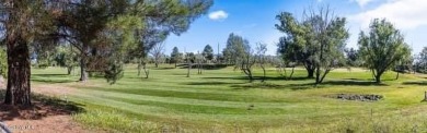 THIS COULD BE THE ONE .A 3 BEDROOM 2 BATH HOME IN THE DESIRABLE on Quail Wood Greens Golf Course in Arizona - for sale on GolfHomes.com, golf home, golf lot