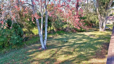 PINE LAKES home that's less than a 1/2 mile from the Pine Lakes on The Grand Club - Pine Lakes Course in Florida - for sale on GolfHomes.com, golf home, golf lot