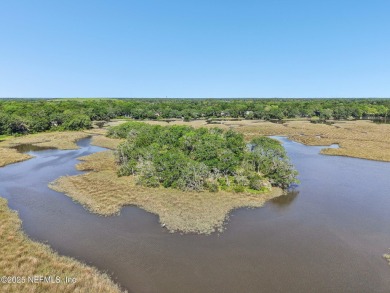 Private Island in Queen's Harbour - No HOA Fees A rare chance to on Queens Harbour Yacht and Country Club in Florida - for sale on GolfHomes.com, golf home, golf lot