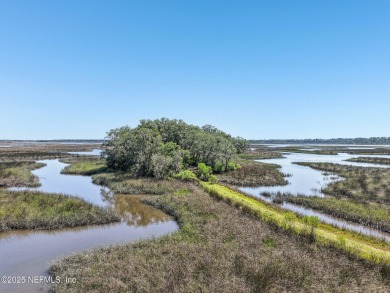 Private Island in Queen's Harbour - No HOA Fees A rare chance to on Queens Harbour Yacht and Country Club in Florida - for sale on GolfHomes.com, golf home, golf lot