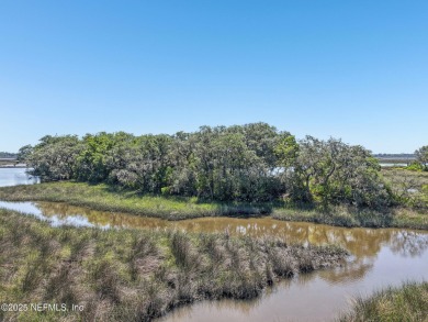 Private Island in Queen's Harbour - No HOA Fees A rare chance to on Queens Harbour Yacht and Country Club in Florida - for sale on GolfHomes.com, golf home, golf lot