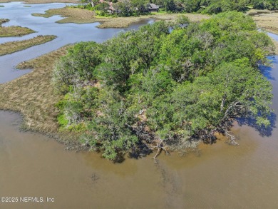 Private Island in Queen's Harbour - No HOA Fees A rare chance to on Queens Harbour Yacht and Country Club in Florida - for sale on GolfHomes.com, golf home, golf lot