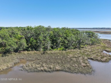 Private Island in Queen's Harbour - No HOA Fees A rare chance to on Queens Harbour Yacht and Country Club in Florida - for sale on GolfHomes.com, golf home, golf lot