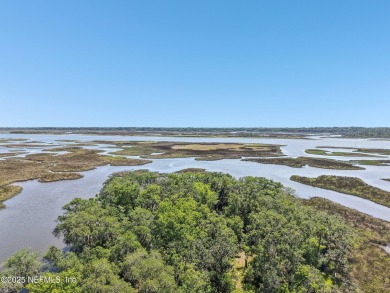Private Island in Queen's Harbour - No HOA Fees A rare chance to on Queens Harbour Yacht and Country Club in Florida - for sale on GolfHomes.com, golf home, golf lot